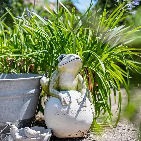 Zum Schwarzwaldfrosch Appartement *