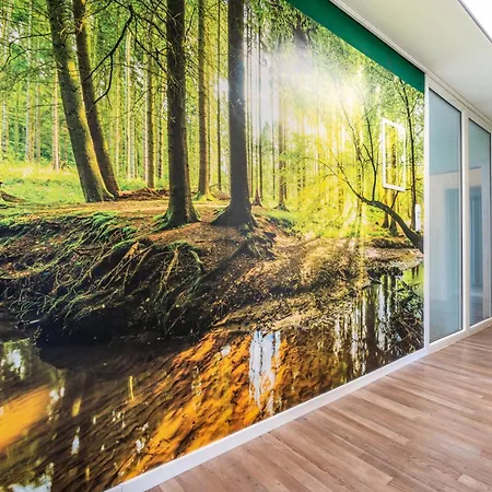 Appartement Zum Schwarzwaldfrosch Freudenstadt
